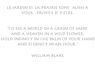  le jardin et la prairie sont aussi a vous. profite d' y etre. "to see a world in a grain of sand and a heaven in a wild flower, hold infinity in the palm of your hand and eternity in an hour." william blake 