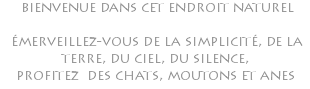  bienvenue dans cet endroit naturel émerveillez-vous de la simplicité, de la terre, du ciel, du silence, profitez des chats, moutons et anes