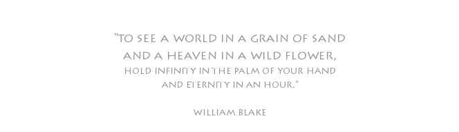  "to see a world in a grain of sand and a heaven in a wild flower, hold infinity in the palm of your hand and eternity in an hour." william blake 